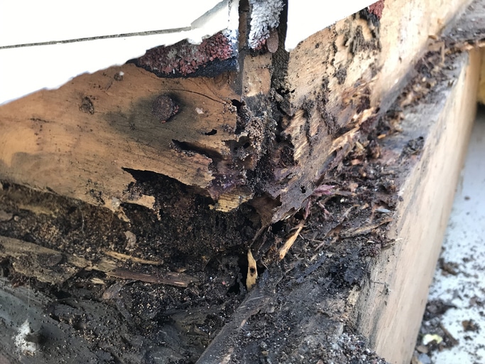 Close-up of severe wood rot damage on a structure's exterior corner.