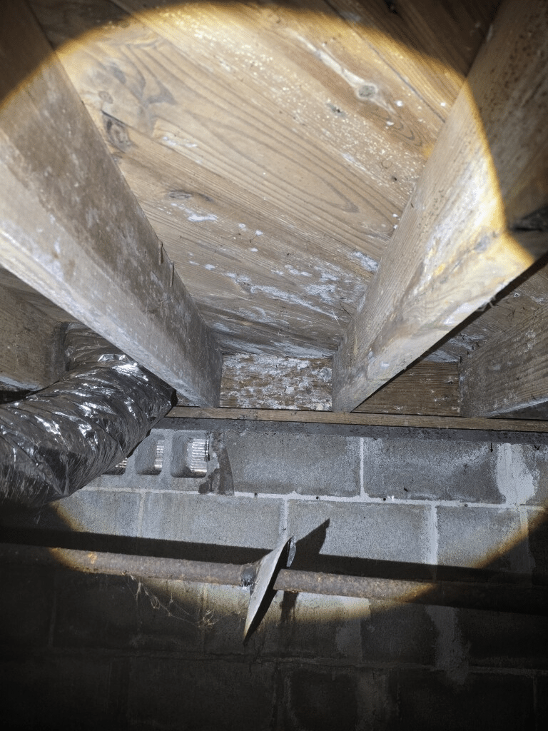 Basement view with wooden beams, ductwork, and a concrete wall, illuminated by flashlight.