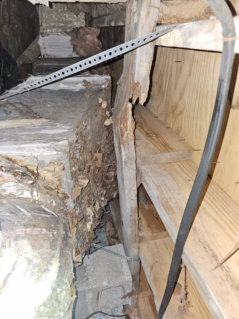 Old wooden beams and cinder blocks in dim attic space with damaged insulation.
